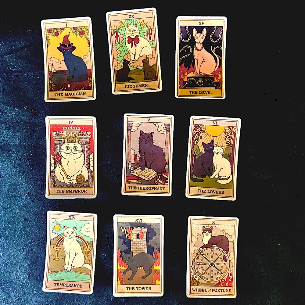 Tarot Card Reading with the “Tarot Cats” A fun way to get your tarot cards read.